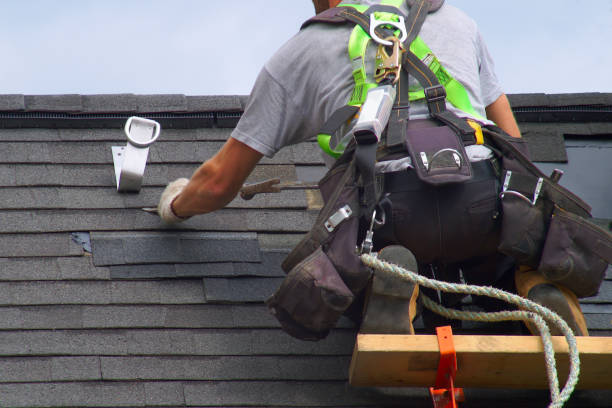 Professional Roofing Contractor in Lake Camelot, IL