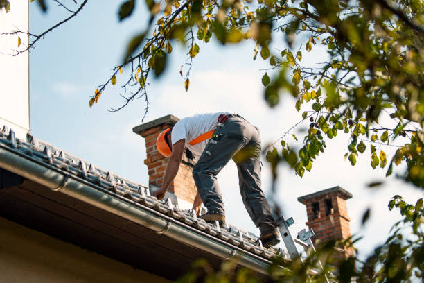 Best Roof Repair Services  in Lake Camelot, IL