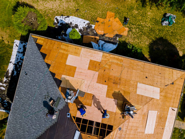 Best Roof Repair Services  in Lake Camelot, IL