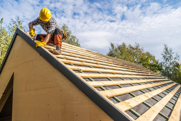 Best Roof Gutter Cleaning  in Lake Camelot, IL