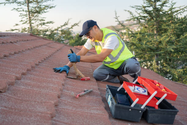 Quick and Trustworthy Emergency Roof Repair Services in Lake Camelot, IL